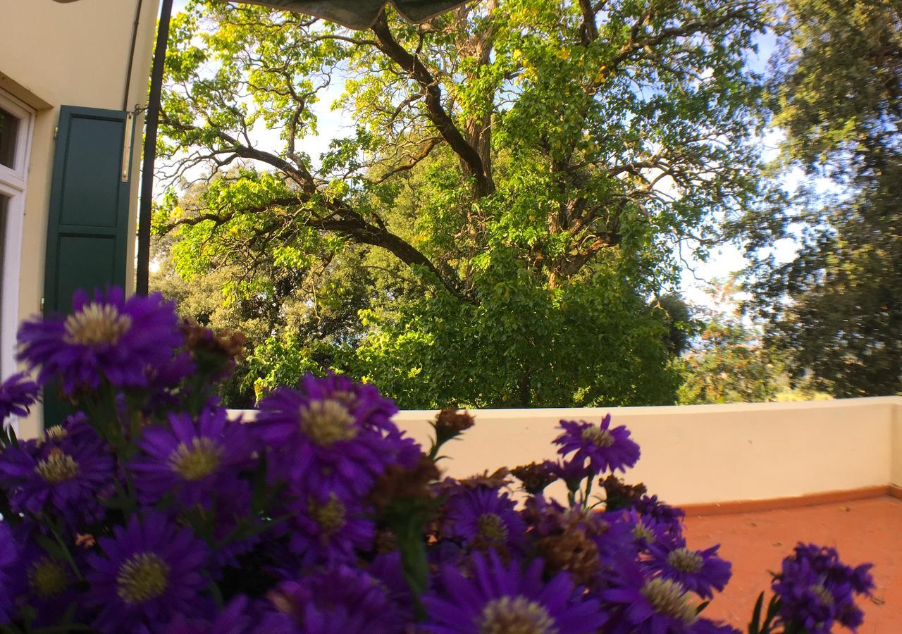 Villa Pieve De' Pitti Terricciola Bagian luar foto